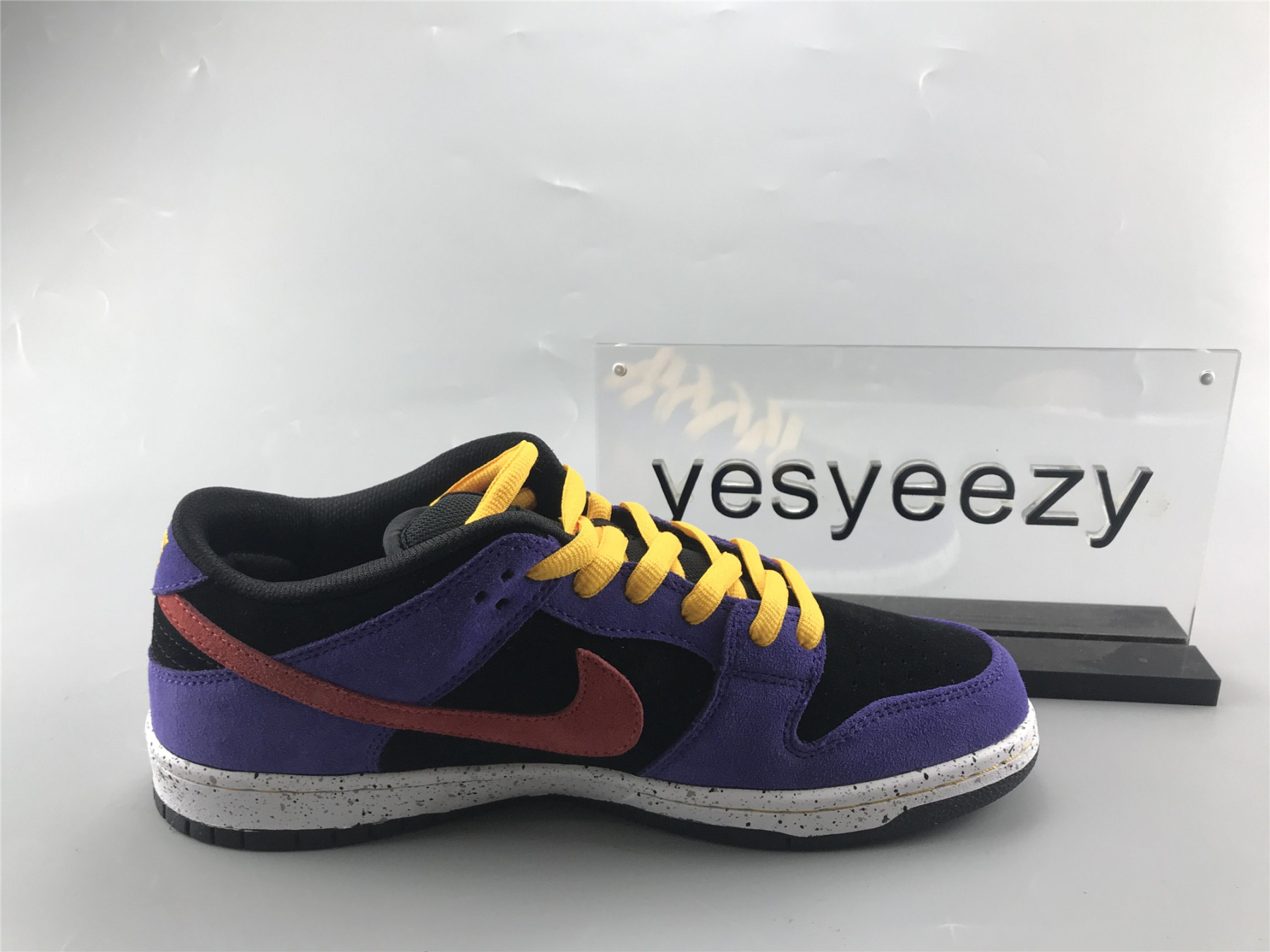 UA NIKE DUNK LOW SB 