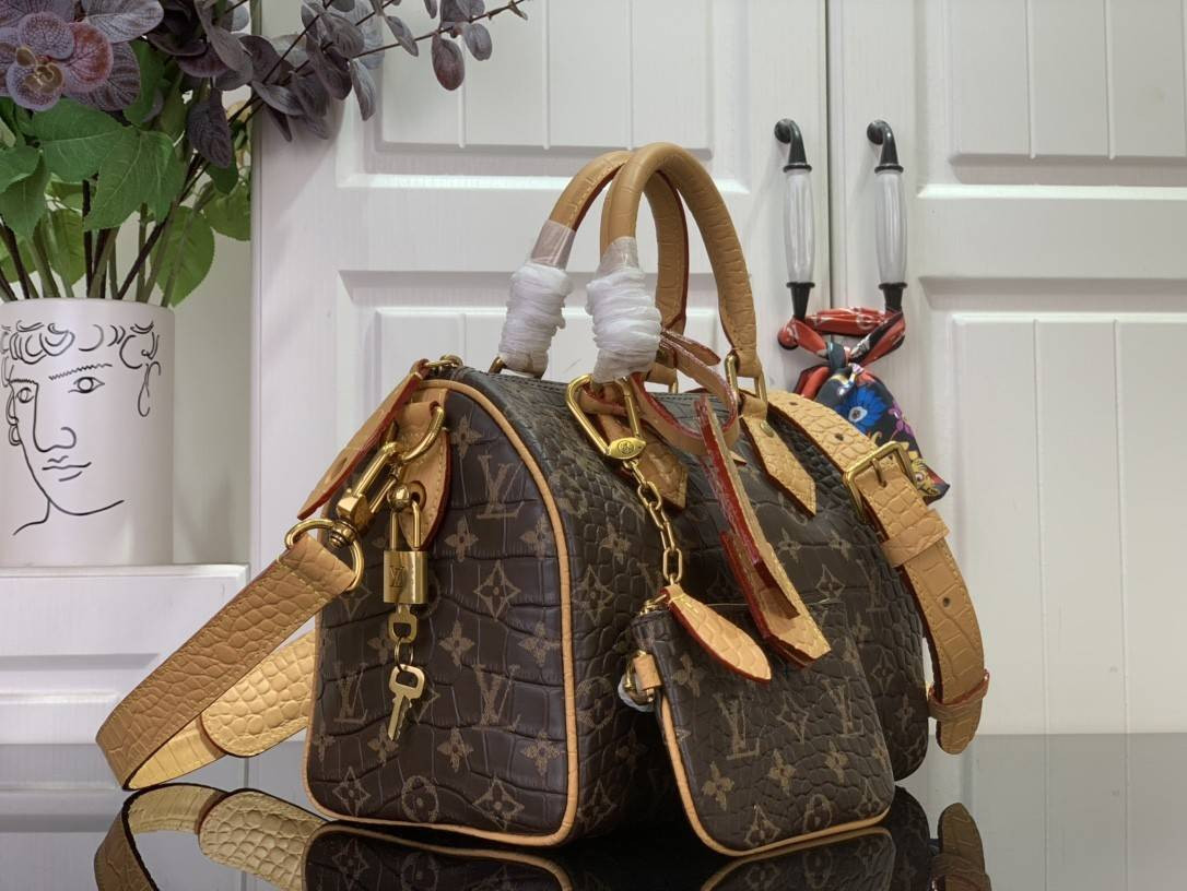 LV Speedy P9 25 N87504 25x15x15cm
