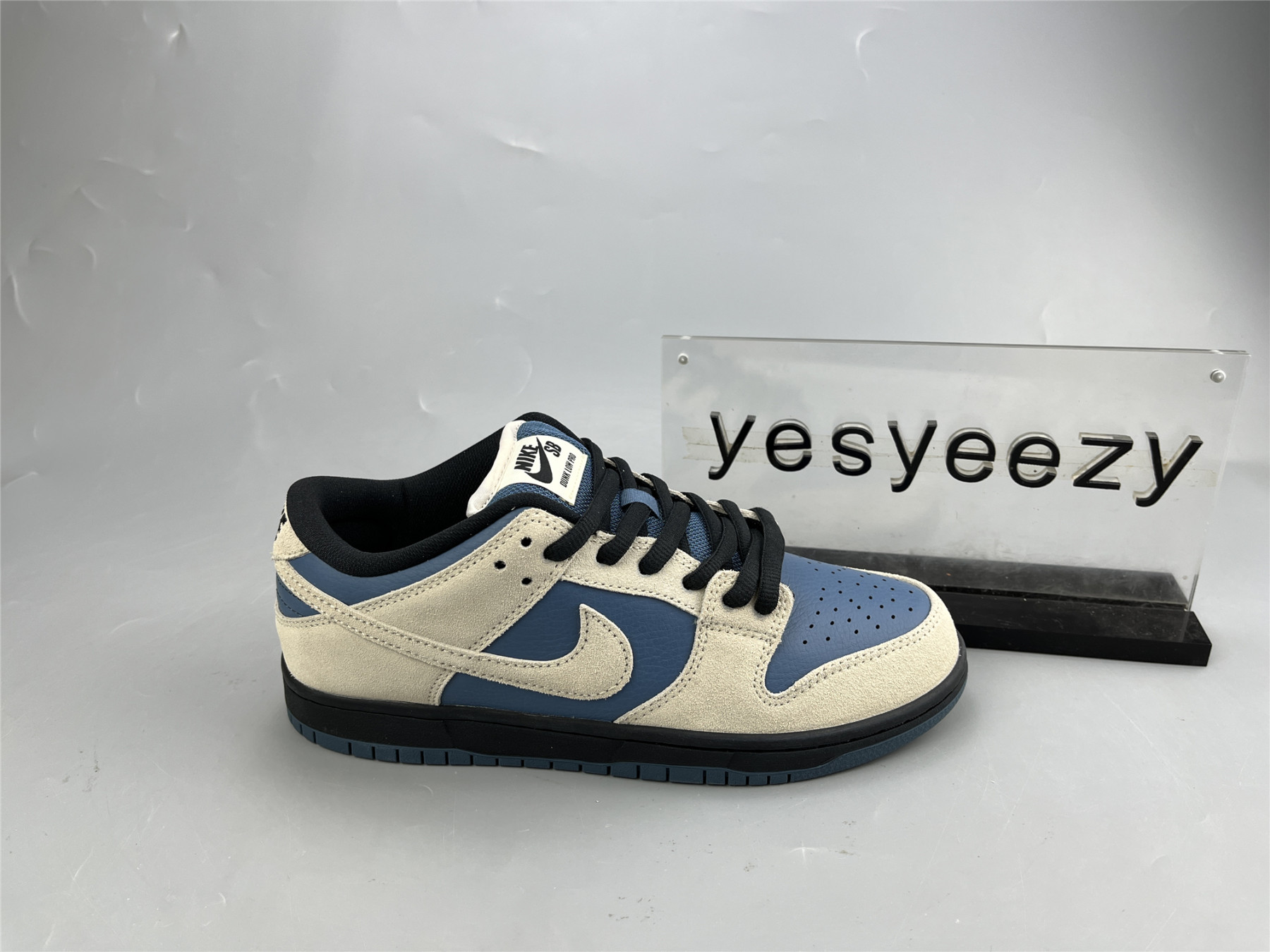 UA NIKE DUNK LOW PRO SB 