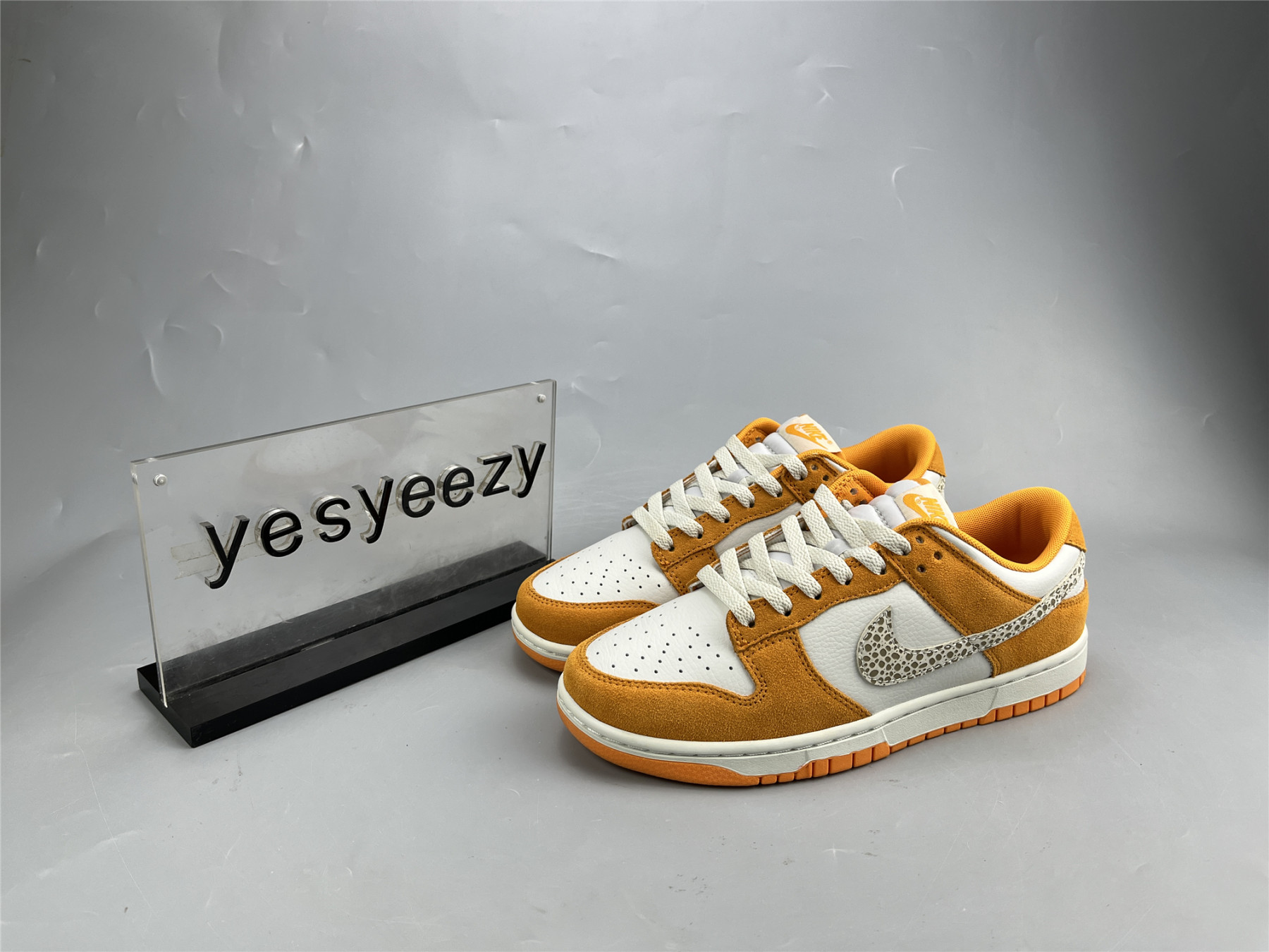 UA NIKE DUNK LOW 