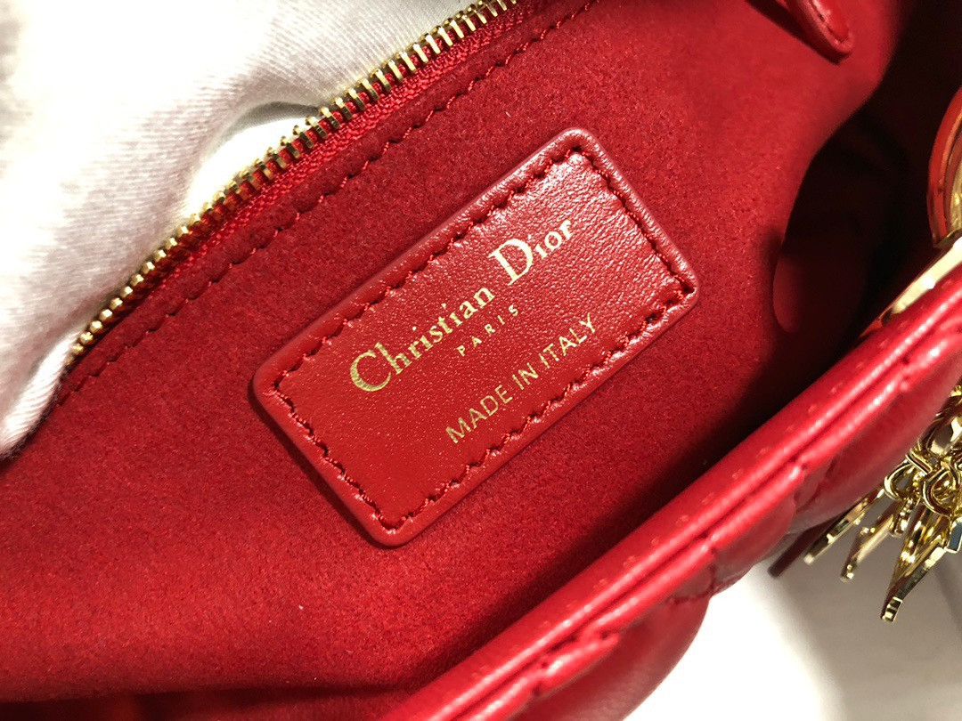 D10r Lady Bag 32 x 25 x 11cm